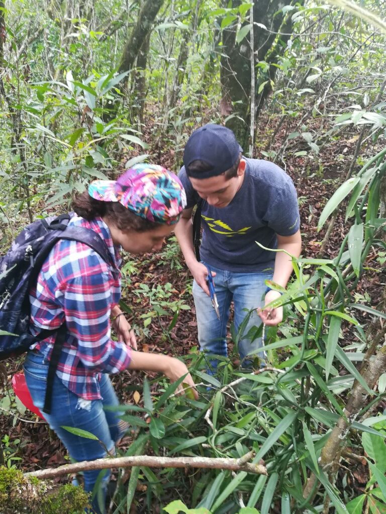 Ikuméni - CREAS - Buena Práctica Desarrollo Sostenible - El Salvador- Credits IKUMÉNI CREAS -3.jpeg